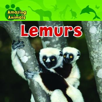 Lemurs - Book  of the Amazing Animals