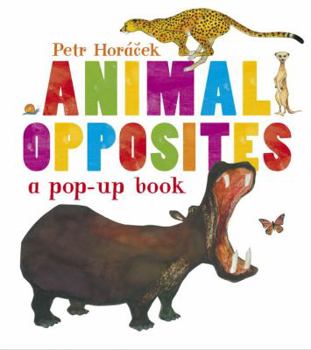 Hardcover Animal Opposites Book