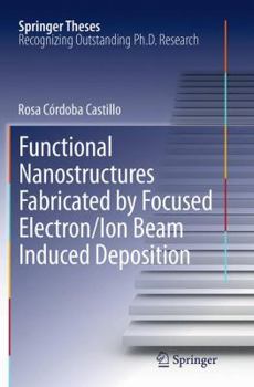 Paperback Functional Nanostructures Fabricated by Focused Electron/Ion Beam Induced Deposition Book