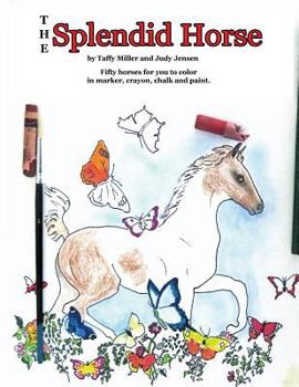The Splendid Horse: a coloring book