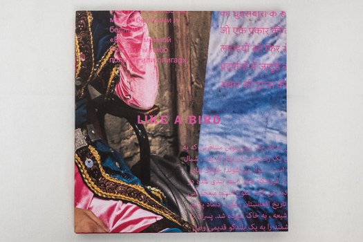 Paperback Like a Bird Book