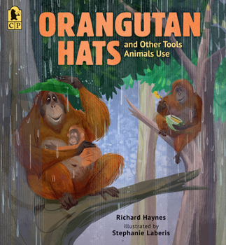 Paperback Orangutan Hats and Other Tools Animals Use Book