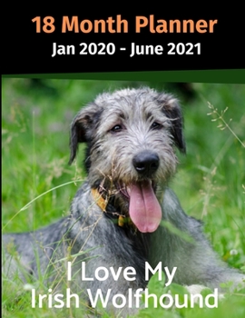 Paperback Jan 2020 - June 2021 18 Month Planner: I Love My Irish Wolfhound Book