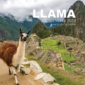 llama Calendar 2020: 16 Month Calendar