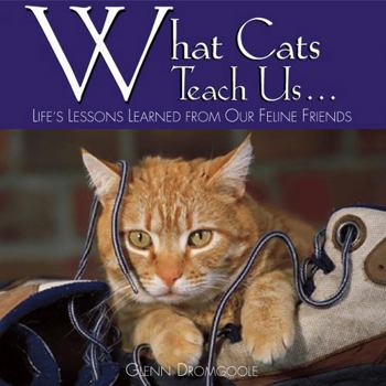 Hardcover What Cats Teach Us: Life's Lessons Learned from Our Feline Friends Book