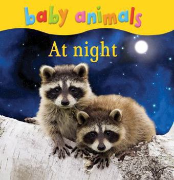 Hardcover Baby Animals at Night. Book