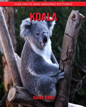 Koala: Fun Facts and Amazing Pictures