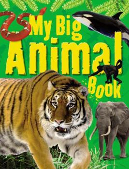 Hardcover My Big Animal Book
