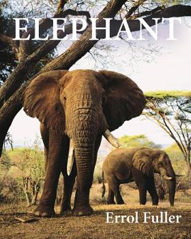 Hardcover Elephant Book