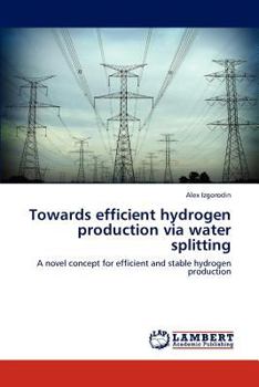 Paperback Towards efficient hydrogen production via water splitting Book