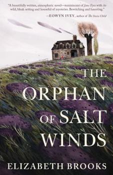 Paperback The Orphan of Salt Winds Book