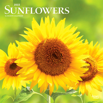 Sunflowers 2022 12 x 12 Inch Monthly Square Wall Calendar