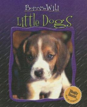 Little Dogs - Book  of the Born to be Wild