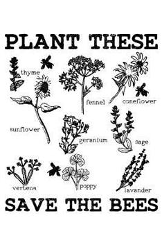 Plant These Save The Bees: Bee Notebook To Write In Beekeeping Journal Log Book Beekeeper Gift