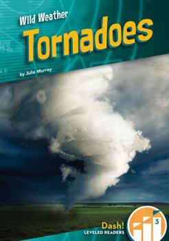Tornadoes - Book  of the Wild Weather