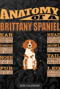 Anatomy Of A Brittany Spaniel: Brittany dog 2020 Calendar - Customized Gift For Brittany dog Dog Owner