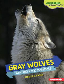 Library Binding Gray Wolves: Howling Pack Mammals Book