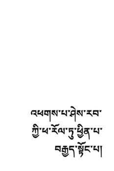 The Perfection of Wisdom in 8000 Lines in Tibetan Script (Tibetan Edition)