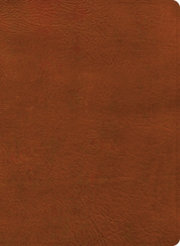 Imitation Leather NASB Study Bible, Burnt Sienna Leathertouch Book