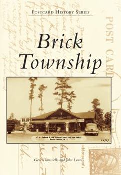 Paperback Brick Township Book