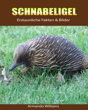 Paperback Schnabeligel: Erstaunliche Fakten & Bilder [German] Book