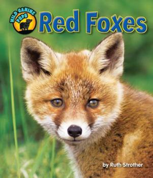 Red Foxes - Book  of the Wild Canine Pups