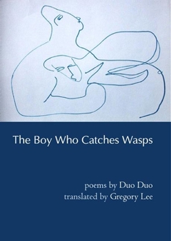 Paperback The Boy Who Catches Wasps [Chinese] Book