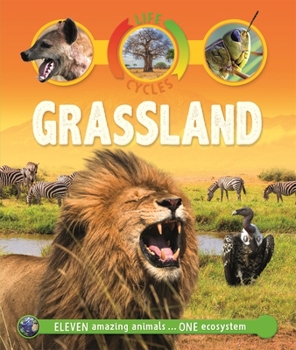 Paperback Life Cycles Grassland Book