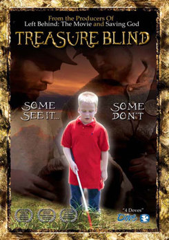 DVD Treasure Blind Book