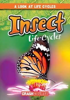 Paperback Insect Life Cycles Book