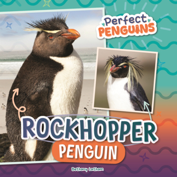 Rockhopper Penguin
