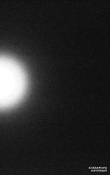 Paperback Screaming Universe Book