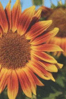 Journal: 150 Lined & Dated Pages, 6x9 Inches, Pretty Yellow & Orange Sunflower, Diary & Notebook for Writing, Brainstorming, Note Taking for Work/Travel/Studying & More