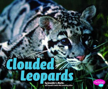 Hardcover Clouded Leopards Book
