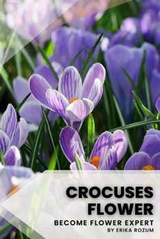 Crocuses flower: Become flower expert