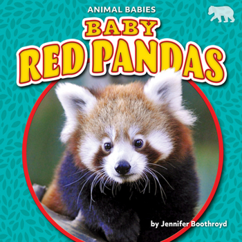 Paperback Baby Red Pandas Book