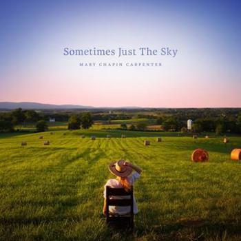 Vinyl Sometimes Just The Sky Book