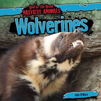 Wolverines - Book  of the Bad to the Bone: Nastiest Animals