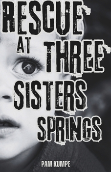 Paperback Rescue at Three Sisters Springs: A Dreamer. A Runaway. And a Poet. Three Teens and One Kidnapped Toddler. Will the Truth Bring Ben Home? Will a Wrong Book