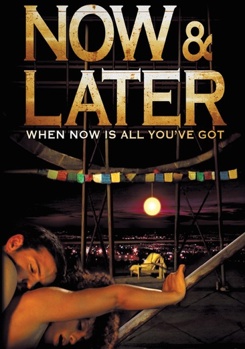 DVD Now & Later Book