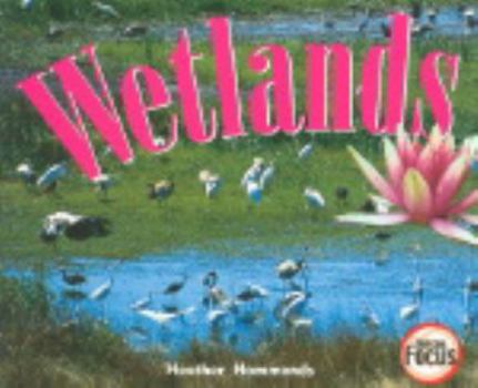 Nelson Focus 3a Wetlands