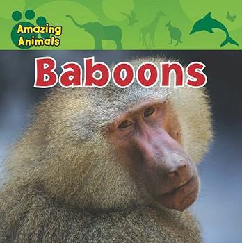 Baboons - Book  of the Amazing Animals