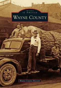 Paperback Wayne County Book
