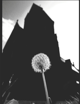 Paperback CREATIVE STREET PHOTOGRAPHY: EUROPEAN ART IMAGES Book