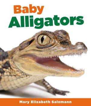 Library Binding Baby Alligators Book