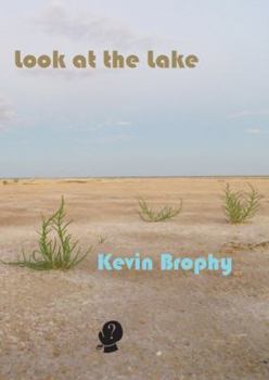 Paperback Look at the Lake Book