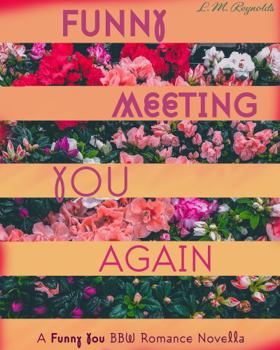 Paperback Funny Meeting You Again (Funny You) Book