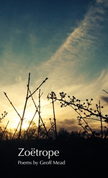 Paperback Zoetrope Book