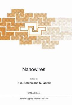 Hardcover Nanowires Book