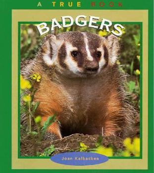 Library Binding Badgers Book